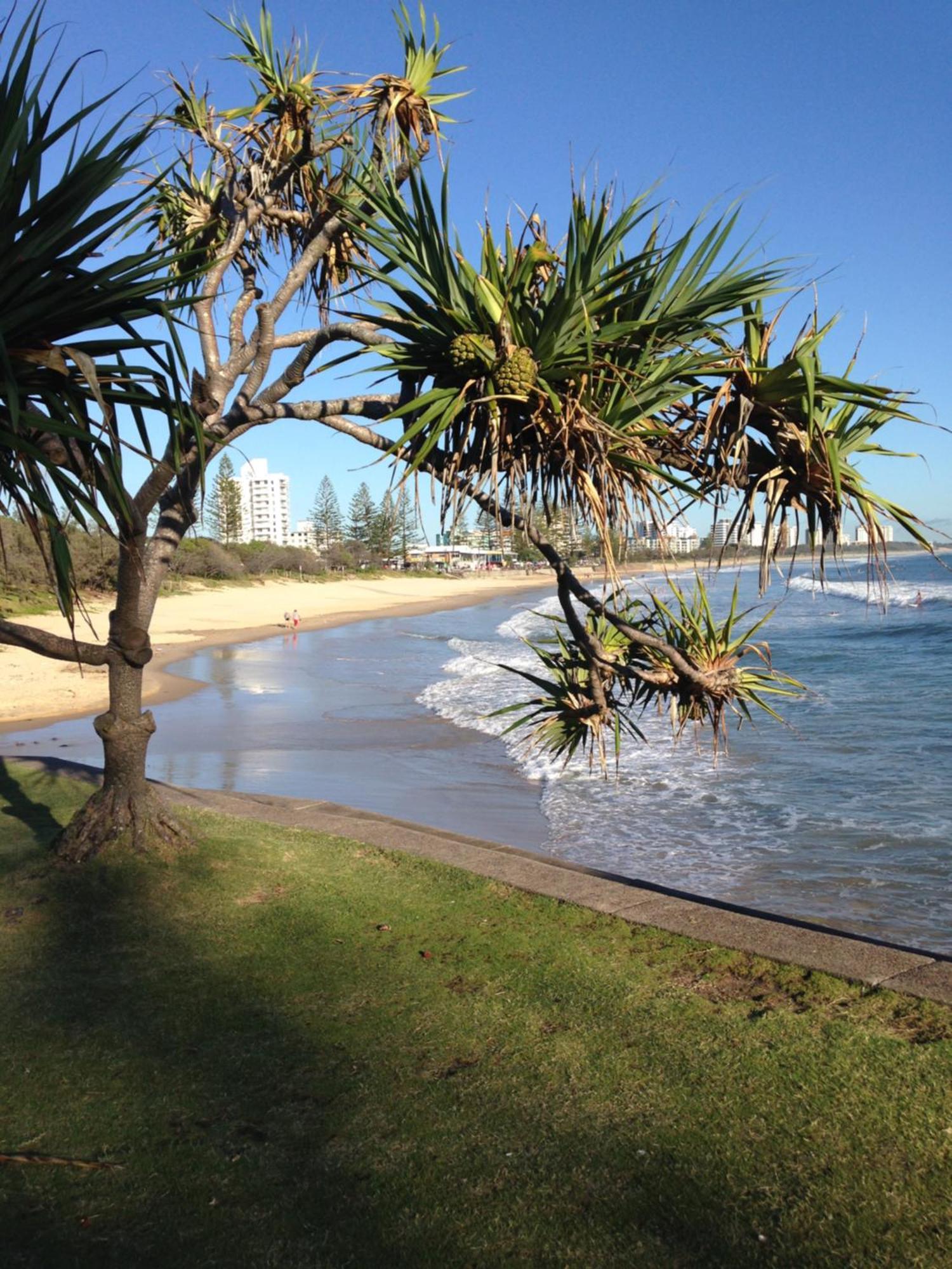 Grand Palais Boolarong Beachside Apartments Alexandra Headland Exteriör bild